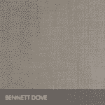 Bennett Dove
